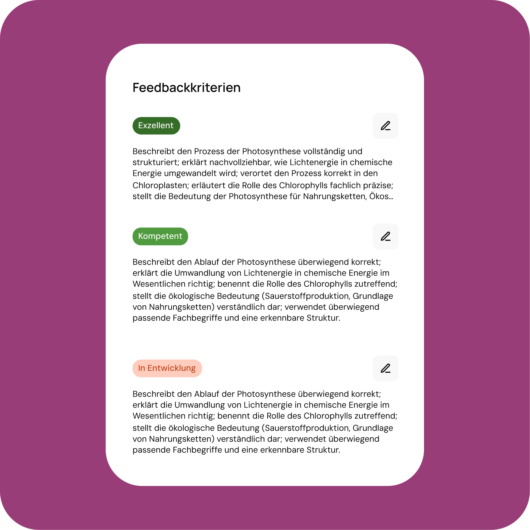 Custom grading rubric setup in Sokra.
